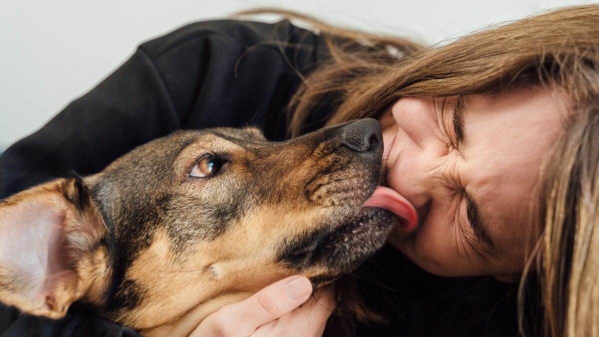12 Reasons Behind Your Pup's Kisses - dog licking human ss1732911521