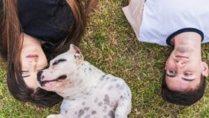 7 Terrier-ific Dogs: These Fascinating Terrier Breeds Have Won Our Hearts 1 7 Terrier-ific Dogs: These Fascinating Terrier Breeds Have Won Our Hearts - dog lying with couple ss2073474482