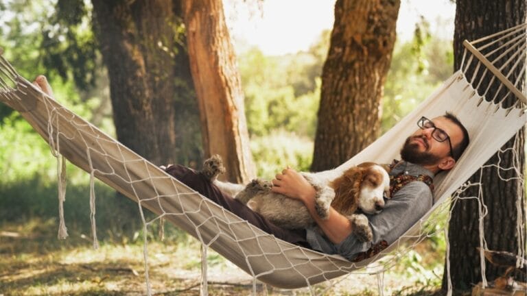 10 Lazy Dog Breeds Ideal for Laid-Back Owners 7 10 Lazy Dog Breeds Ideal for Laid-Back Owners - dog sleeping ss2052767684