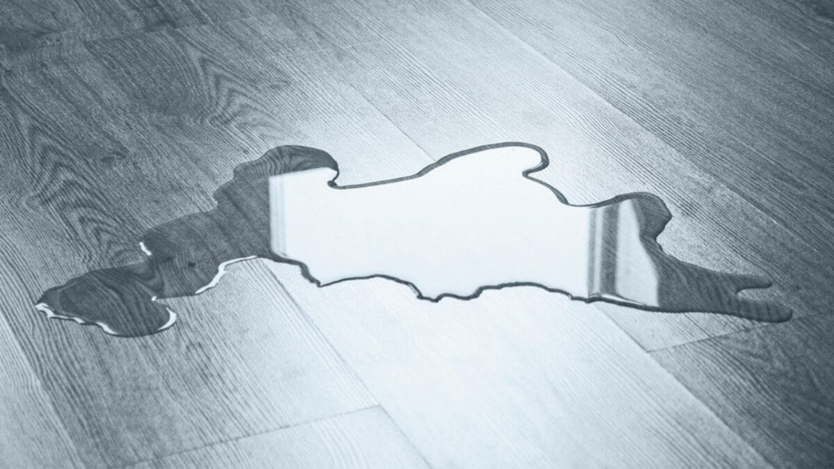 10 Smells That Attract Coyotes to Your Yard 10 10 Smells That Attract Coyotes to Your Yard - dog urine dp482590742