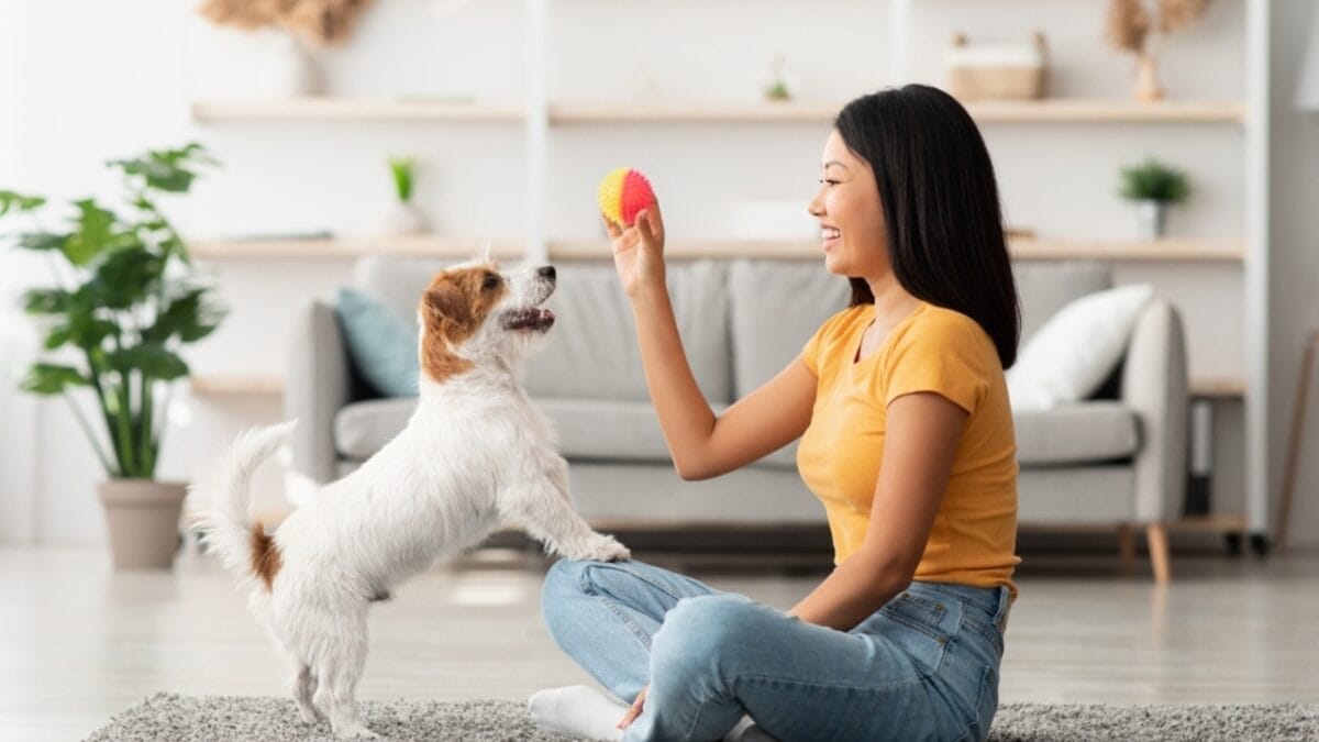 The High Cost of Cute: 8 Dog Breeds Considered "Unethical" to Buy 10 The High Cost of Cute: 8 Dog Breeds Considered "Unethical" to Buy - dog with happy owner ss2048143424