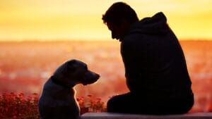 Paws-itively Sensitive: How Dogs' Emotional Intelligence Can Improve Our Mental Health 1 Paws-itively Sensitive: How Dogs' Emotional Intelligence Can Improve Our Mental Health - dog with man sunset dp85357138