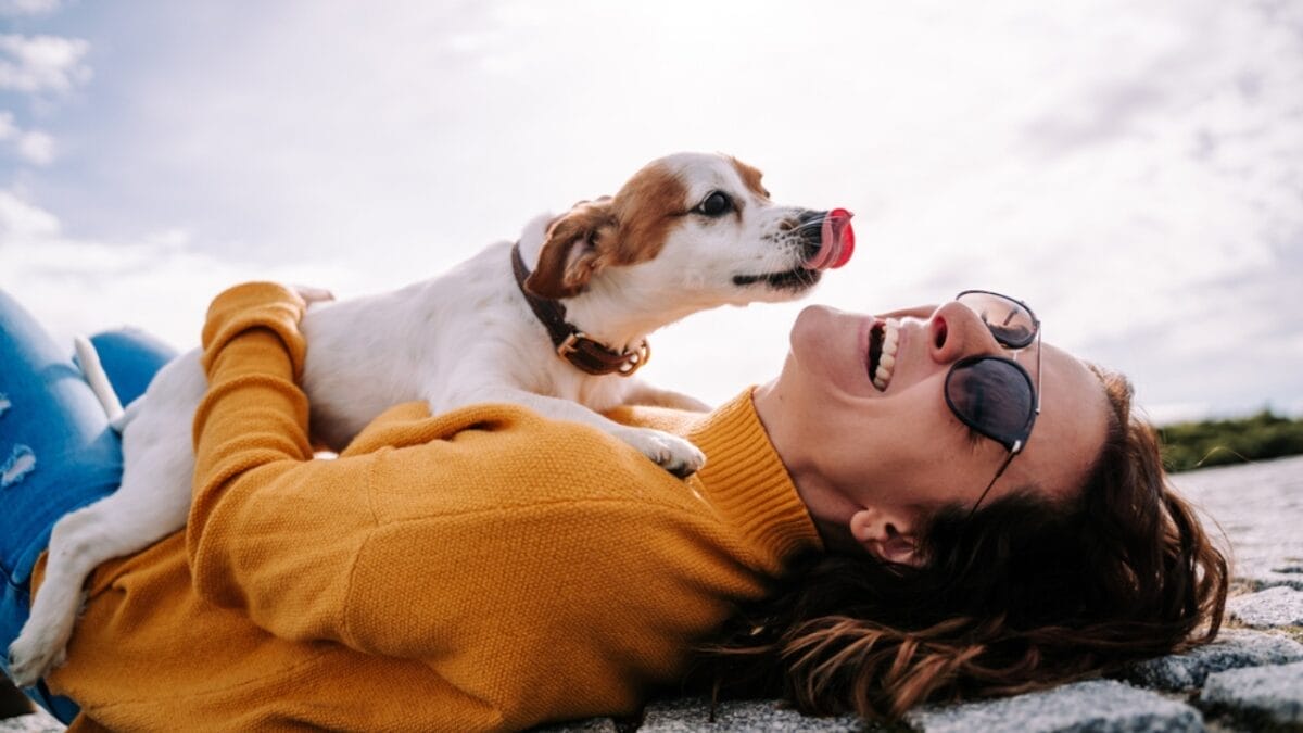 Descartes Was Wrong: 9 Signs Your Dog Can Feel Happiness 7 Descartes Was Wrong: 9 Signs Your Dog Can Feel Happiness - dog with owner ss1829212376