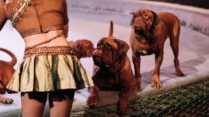 10 Things Only Devoted Dogue de Bordeaux Dog Lovers Know 1 10 Things Only Devoted Dogue de Bordeaux Dog Lovers Know - dogue de bordeaux star dp330563220