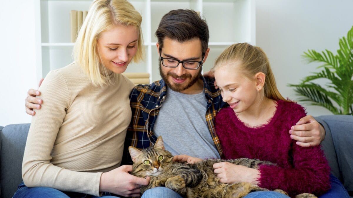 10 Odd Cat Behaviors That Happen When Living with Dogs 10 10 Odd Cat Behaviors That Happen When Living with Dogs - family with cat sitting ss709894567