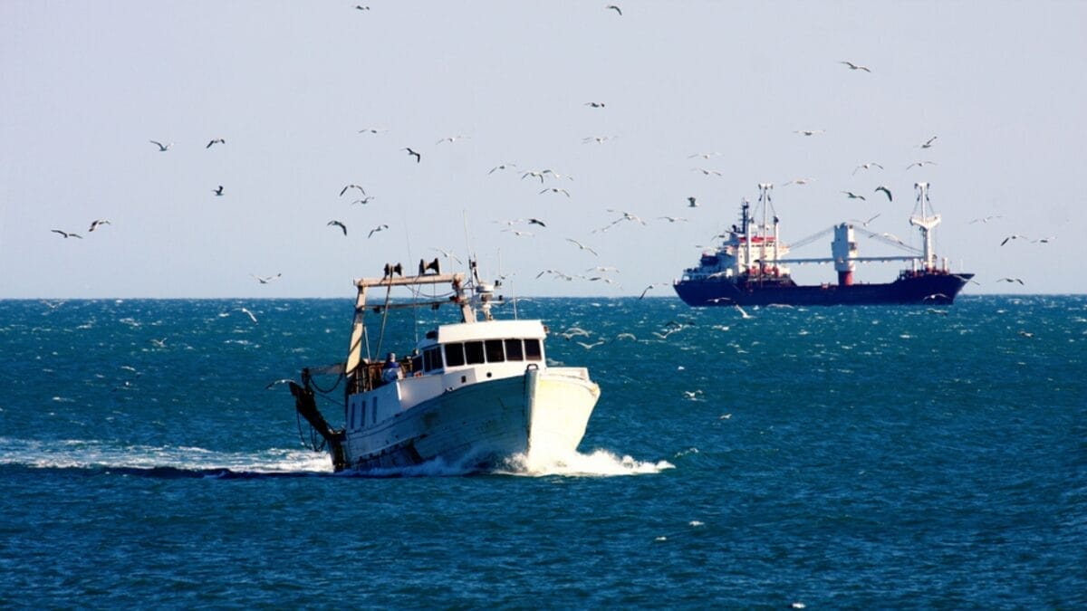 New Mexico’s Biggest Landowner Controls 24,665,774 Acres 6 New Mexico’s Biggest Landowner Controls 24,665,774 Acres - fish and wildlife ss1724036377