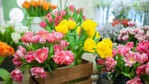 Blooms in Buckets: 20 Perennials Guaranteed to Thrive in Pots 1 Blooms in Buckets: 20 Perennials Guaranteed to Thrive in Pots - flower pot ss1341313748