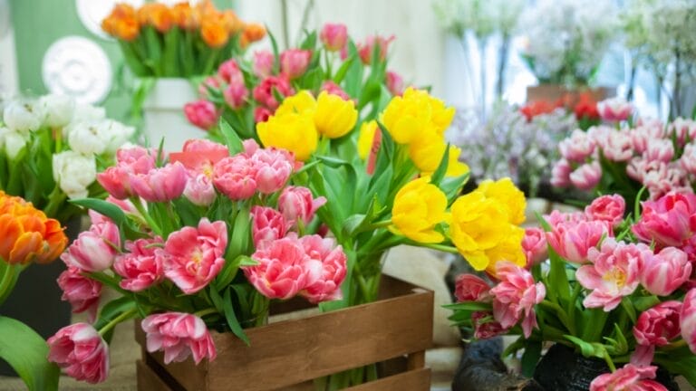 Blooms in Buckets: 20 Perennials Guaranteed to Thrive in Pots 1 Blooms in Buckets: 20 Perennials Guaranteed to Thrive in Pots - flower pot ss1341313748