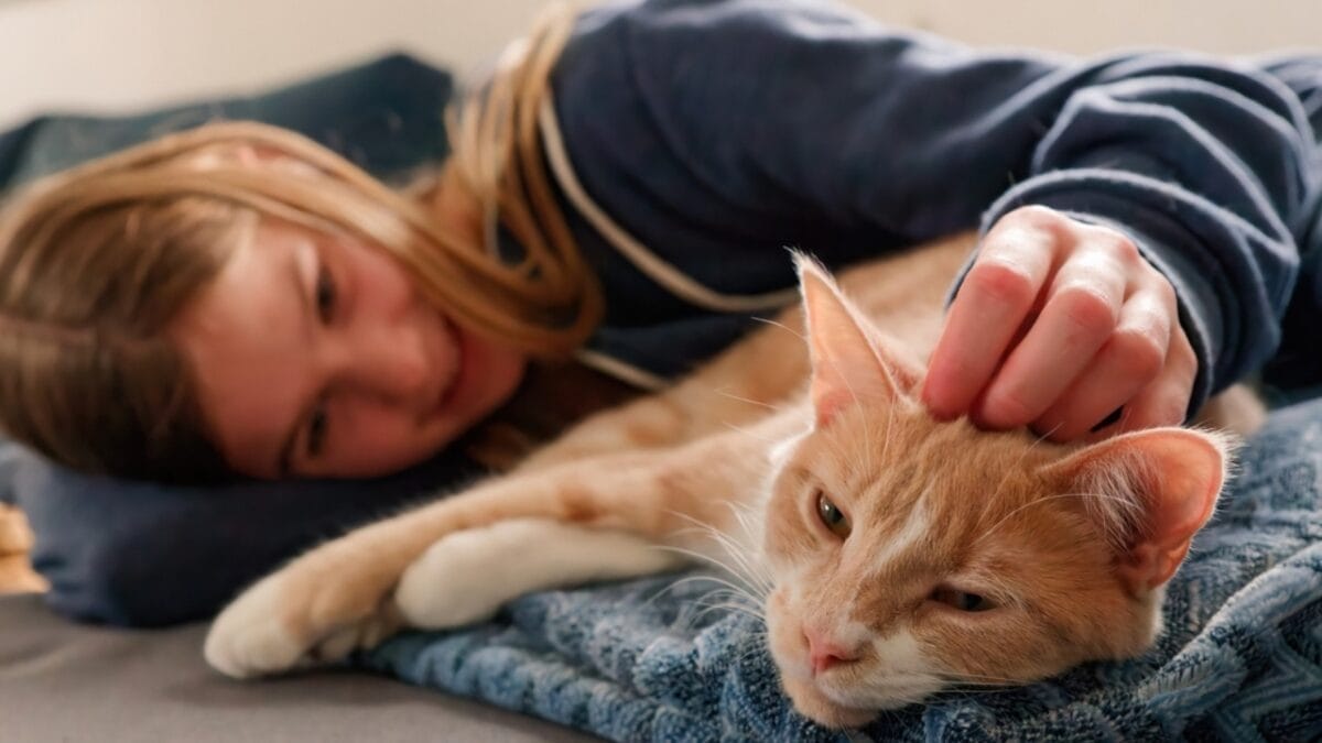 10 Purr-fect Signals of Feline Trust & Affection 10 10 Purr-fect Signals of Feline Trust & Affection - force affection ss2140127151