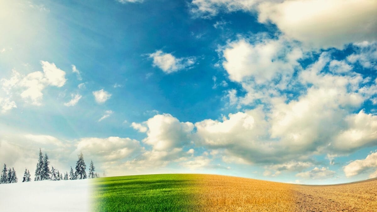 7 Dangers Threatening Hummingbirds 3 7 Dangers Threatening Hummingbirds - four seasons transition ss628135295