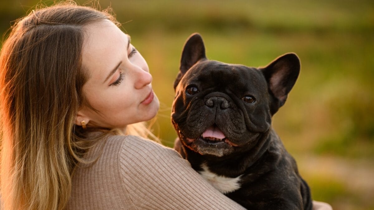 These 17 Dog Breeds are Perfect for Snuggling & Emotional Support - french bulldog ss2428560485