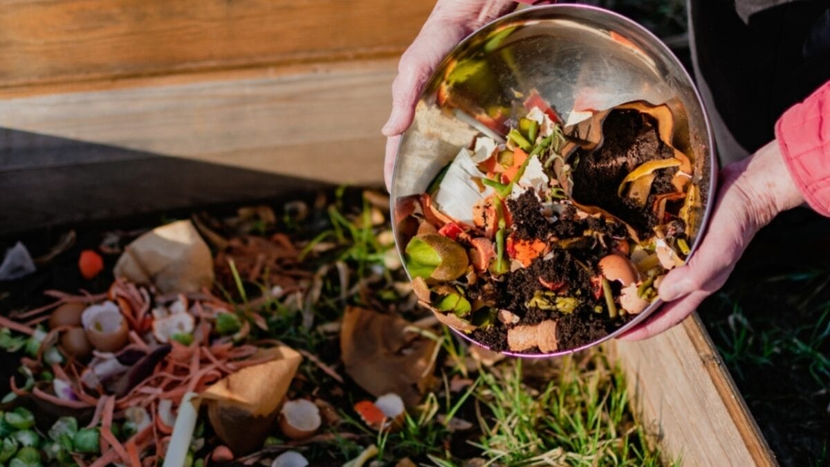 10 Reasons to Leave a Bowl of Coffee Grounds Out in Your Kitchen - garbage compost coffee grounds ss2422371039