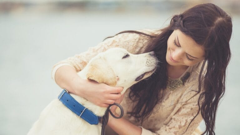 7 Most Gentle Dog Breeds & Why They're Beloved 10 7 Most Gentle Dog Breeds & Why They're Beloved - gentle dog ss134340365