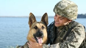 11 German Dog Breeds & The Study That Changed Everything 1 11 German Dog Breeds & The Study That Changed Everything - german shepherd ss1519894688 1