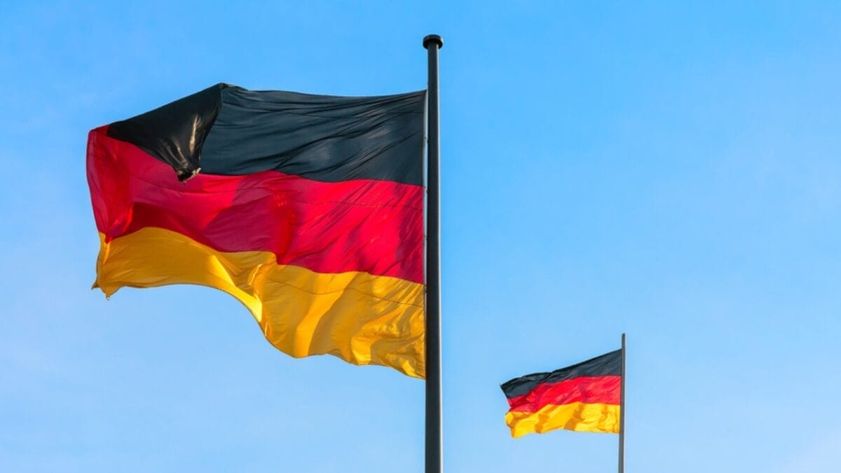 10 Facts About American Eskimo Dogs That Surprise People - germany dog dp187314754