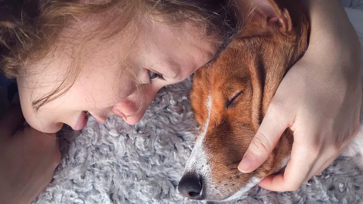 10 Things to Do Before Bringing Your Rescue Dog into Your Home - girl crying over dog dp248361140