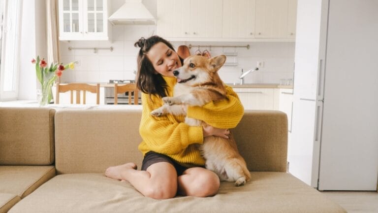 What Every Homeowner Needs to Know About Dog Breeds & Property Insurance in 2024 6 What Every Homeowner Needs to Know About Dog Breeds & Property Insurance in 2024 - girl with a dog ss2269298707