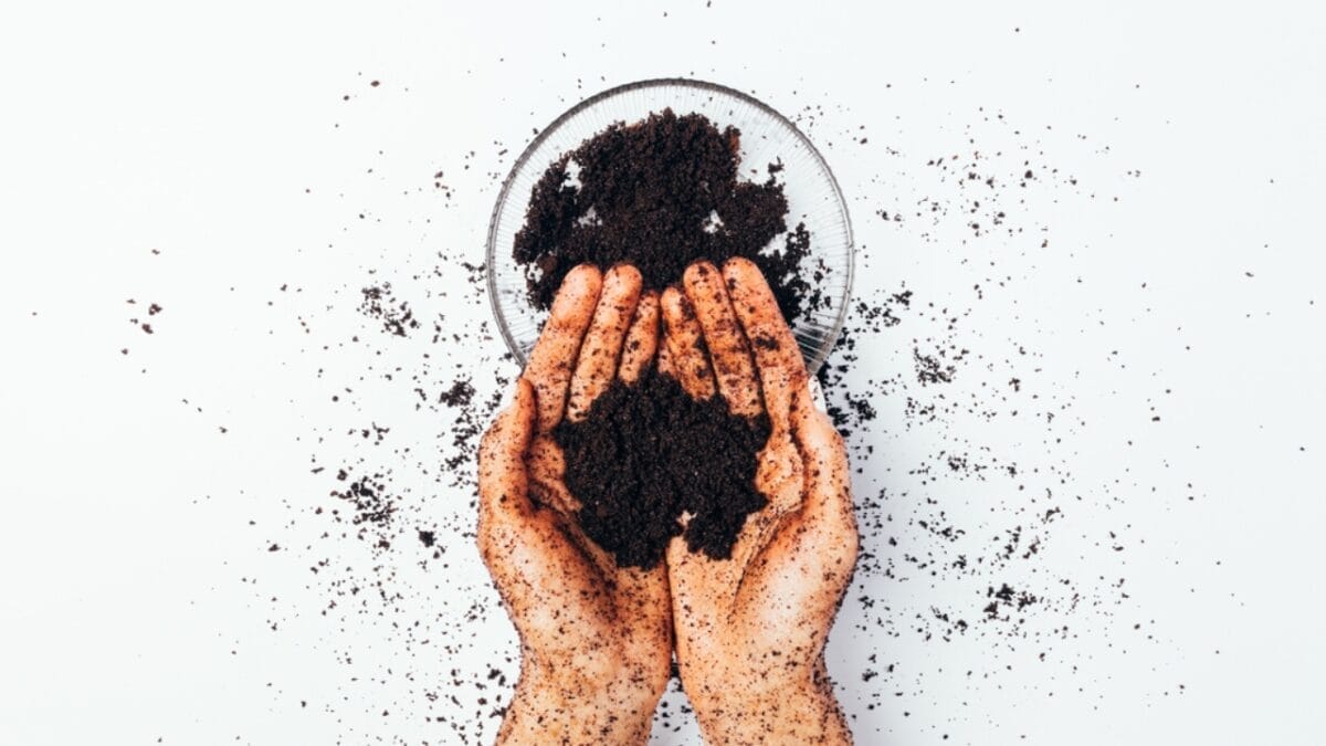 Vanilla is the New Secret Weapon Against Mosquitoes & 4 Backups - hand holding coffee grounds ss1711092613