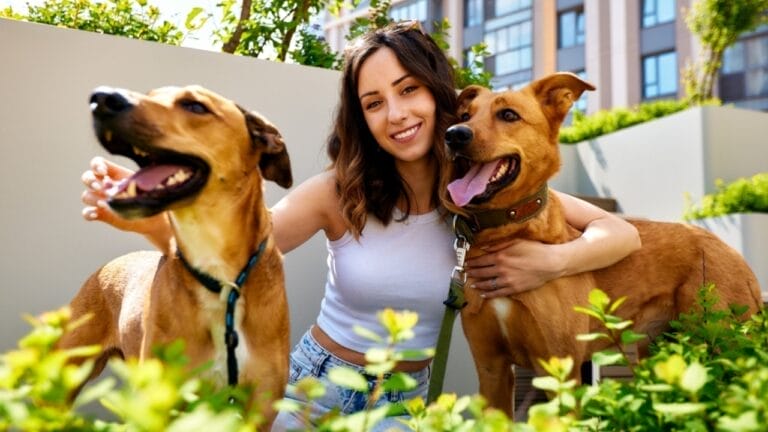 Find Your Perfect Pet: Discover the Best Dog Breed for You 5 Find Your Perfect Pet: Discover the Best Dog Breed for You - happy dogs 2320067799