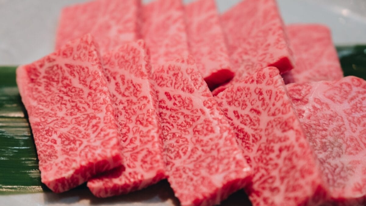 A Cut Above the Rest: 12 of The World's Most Luxurious & Expensive Meats - hida beef meat ss1476762557