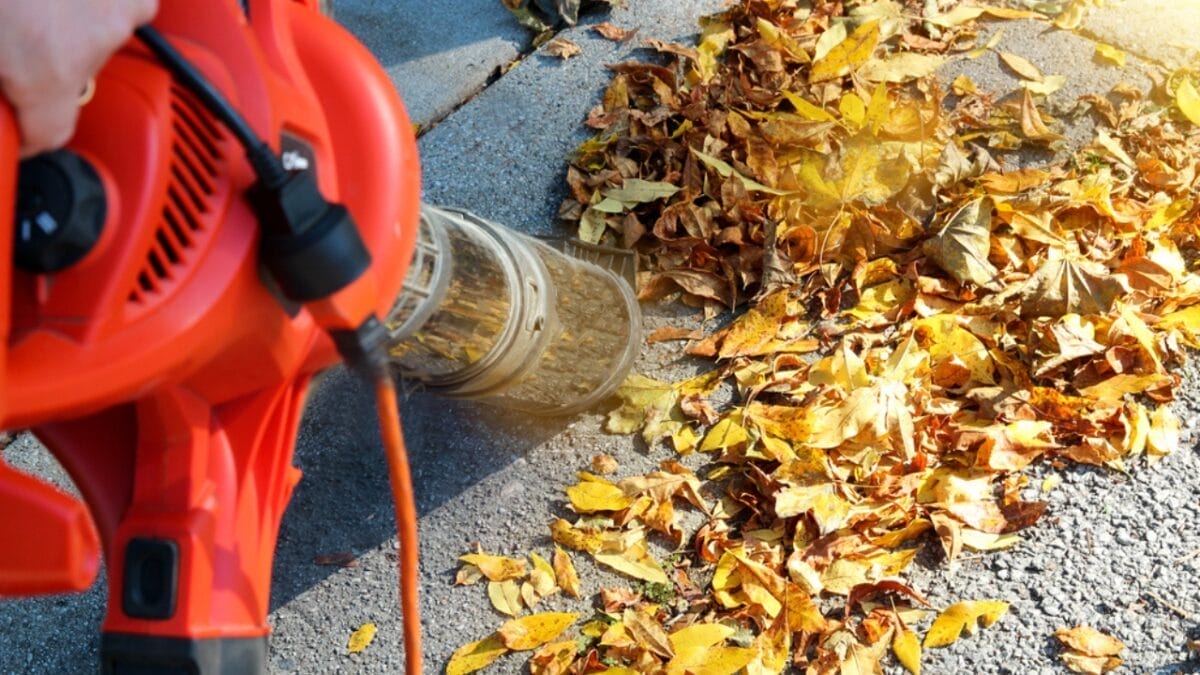 12 Time-Saving Leaf Blower Techniques for Busy Homeowners 5 12 Time-Saving Leaf Blower Techniques for Busy Homeowners - holding the leafblower dp171656682