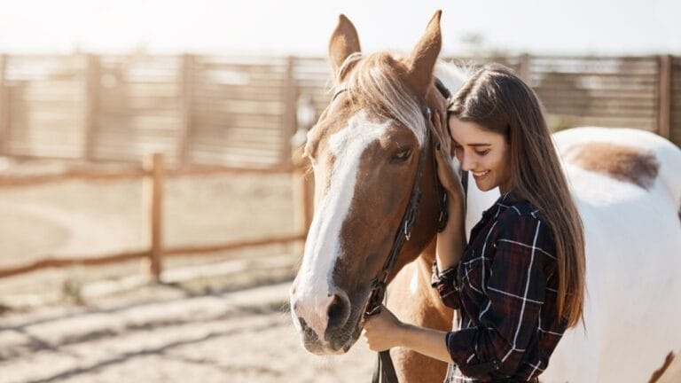10 of the Cheapest Horses to Keep as Pets 5 10 of the Cheapest Horses to Keep as Pets - horse with woman ss741055474