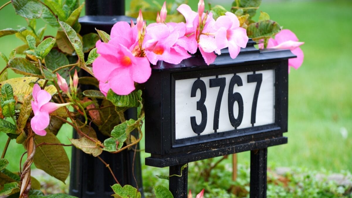 20 Curb Appeal Ideas to Supercharge Your Home's Value - house number ss719134663