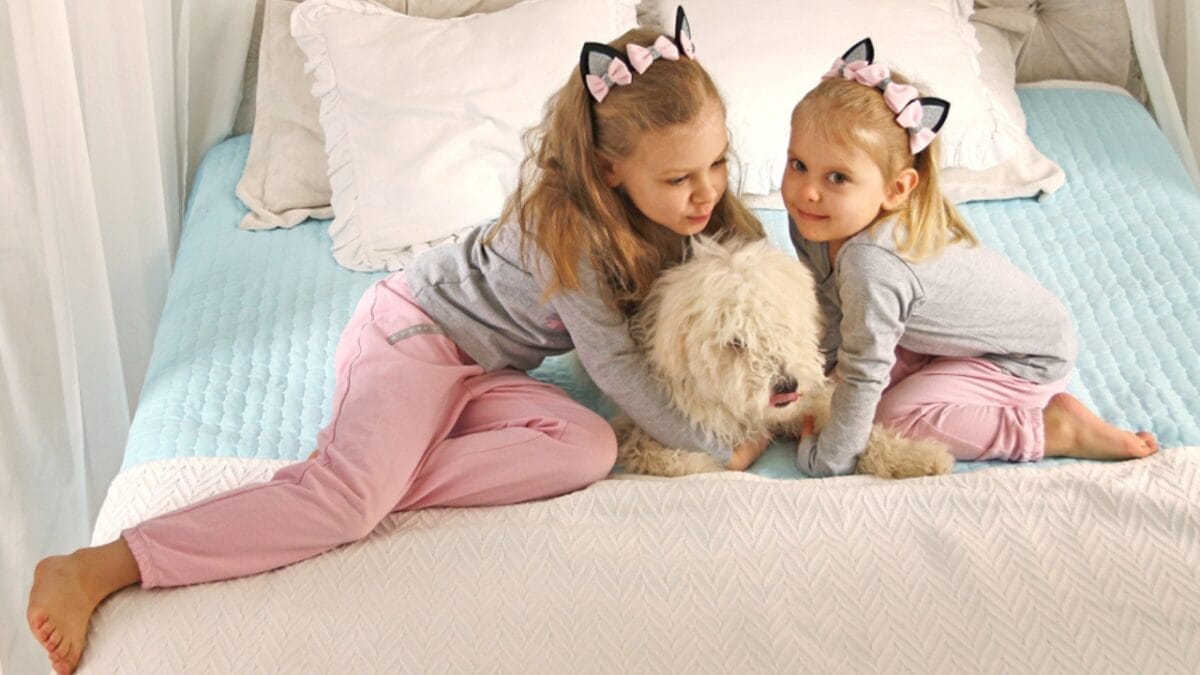 10 Facts about Puli Dogs Every Potential Owner Should Know 11 10 Facts about Puli Dogs Every Potential Owner Should Know - hugging puli dog ss765708178