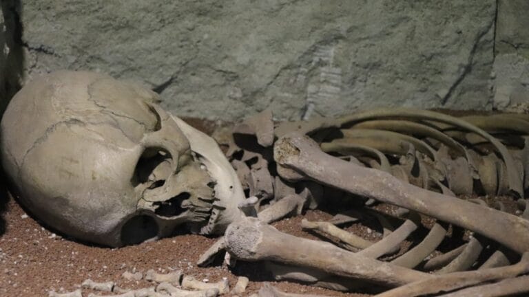 10 of the Oldest Human Fossils Ever Found - human fossil ss1568580715