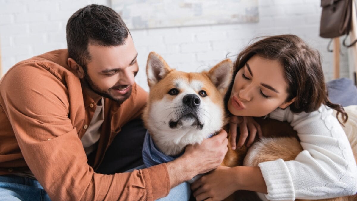 Why We Feel So Connected to Dogs: A Look at the Science of Human-Canine Relationships - humans hugging akita dog dp552477868