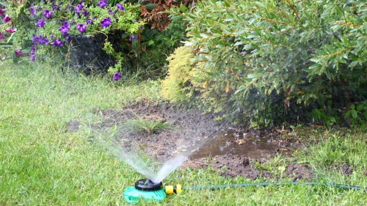 7 Gardening Hacks with Hydrogen Peroxide Every Gardener Should Know 9 7 Gardening Hacks with Hydrogen Peroxide Every Gardener Should Know - hydrogen peroxide in garden dp84058928