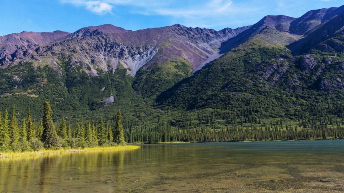 The 4 U.S. States Where Rattlesnakes Simply Don’t Exist - iliamna lake alaska dp83248028