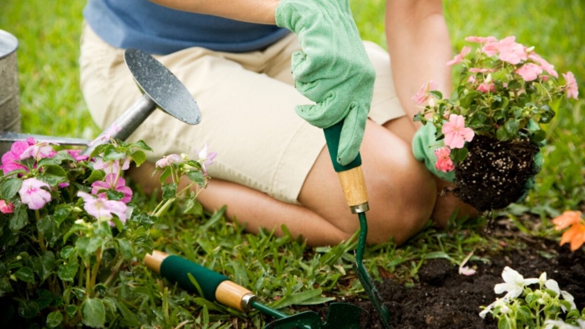 7 Tips to Keep Your Flowerbeds Pristine 6 7 Tips to Keep Your Flowerbeds Pristine - image of woman gardening ss1572478477
