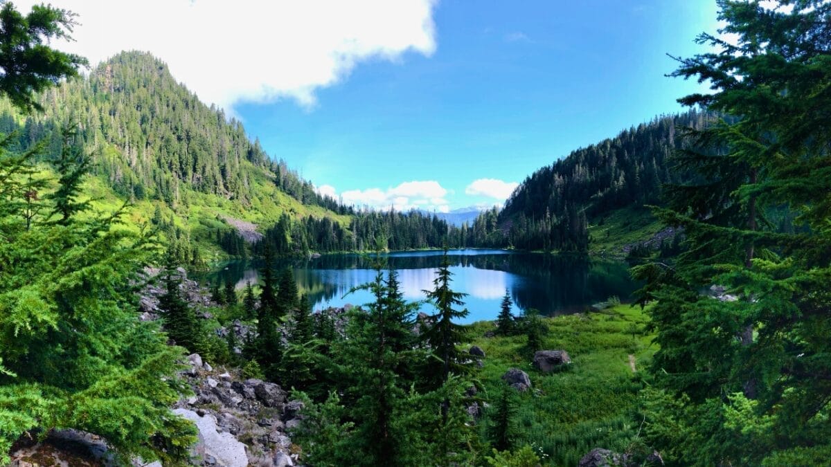 20 States Where Coyotes Are Thriving: Sightings Increasing 19 20 States Where Coyotes Are Thriving: Sightings Increasing - iowa ss1981430303