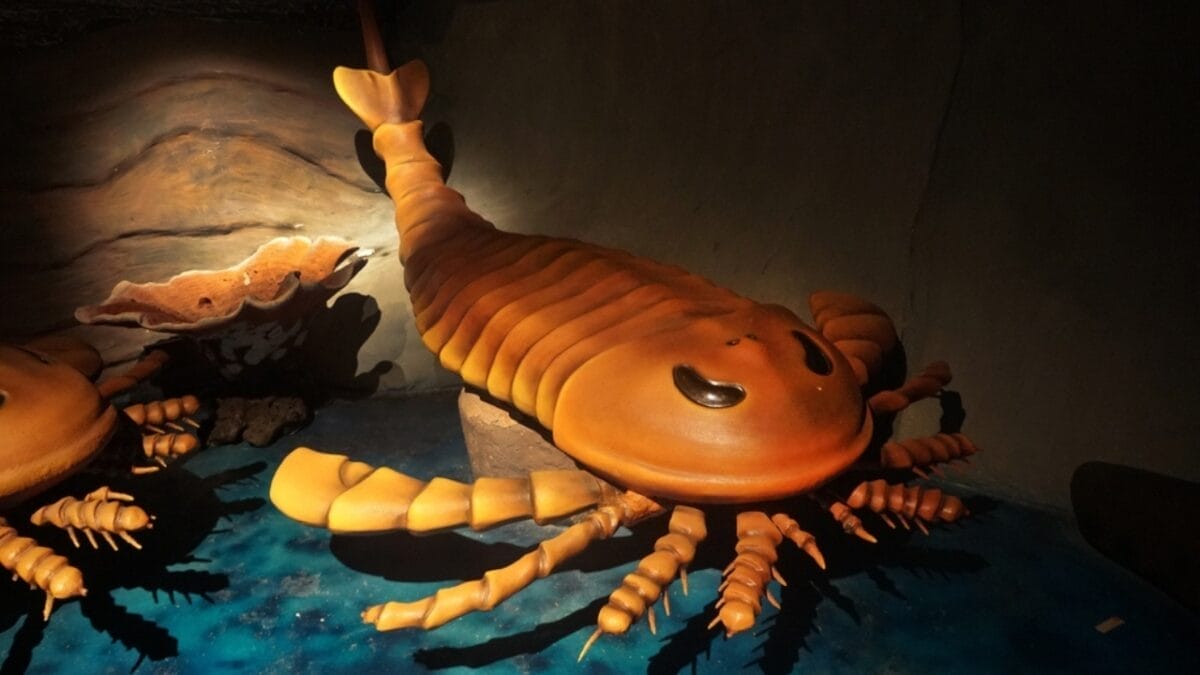 10 Colossal Creatures That Roamed the Earth Before Dinosaurs 3 10 Colossal Creatures That Roamed the Earth Before Dinosaurs - jaekelopterus giant sea scorpion ss2200931987