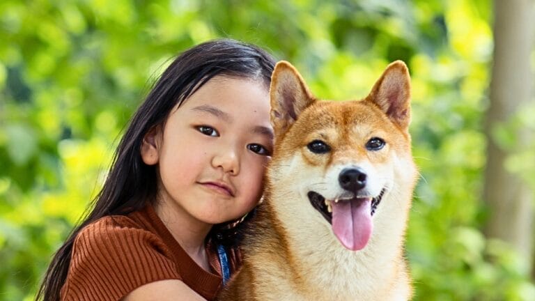 Behavior Study Highlights Japan's 9 Most Popular Dog Breeds 10 Behavior Study Highlights Japan's 9 Most Popular Dog Breeds - kid with a dog ss1746398576