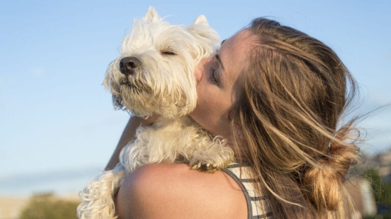 Puppy Prescriptions: The 10 Best Therapy Dog Breeds 9 Puppy Prescriptions: The 10 Best Therapy Dog Breeds - kissing white dog ss310795937