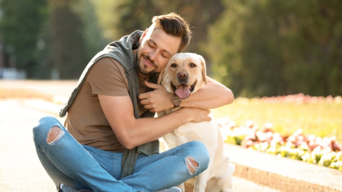 These 17 Dog Breeds are Perfect for Snuggling & Emotional Support - labrador retriever ss1114912505