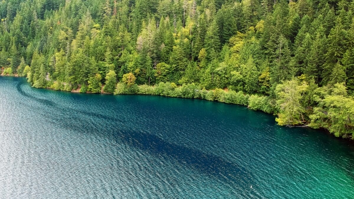 Plunging Into the 10 Deepest Lakes in the USA 11 Plunging Into the 10 Deepest Lakes in the USA - lake crescent washington dp329783312