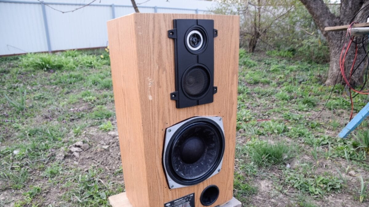 7 Effective Ways to Get Rid of Carpenter Bees 8 7 Effective Ways to Get Rid of Carpenter Bees - loud music fro carpenter bees dp359760766