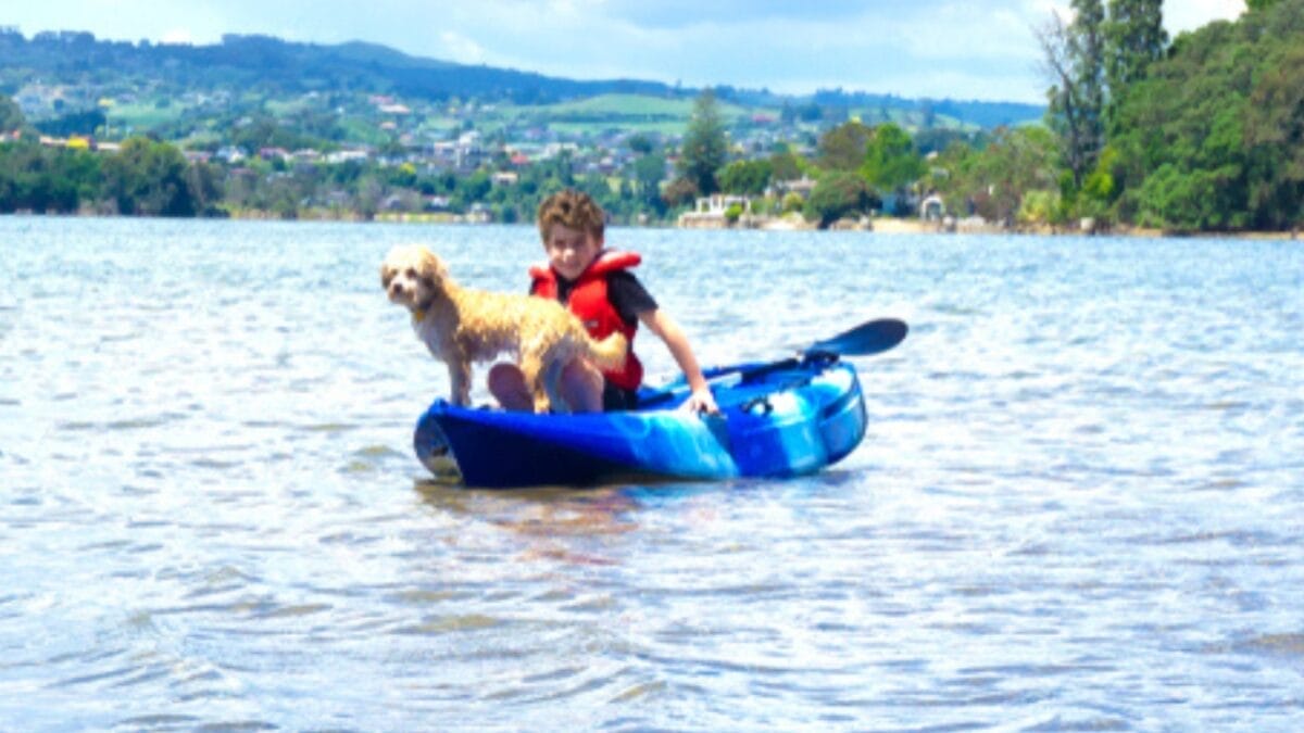 25 Extraordinary Ways to Bond With Your Dog Beyond the Leash 22 25 Extraordinary Ways to Bond With Your Dog Beyond the Leash - lowchen dog kayaking ss1264720582