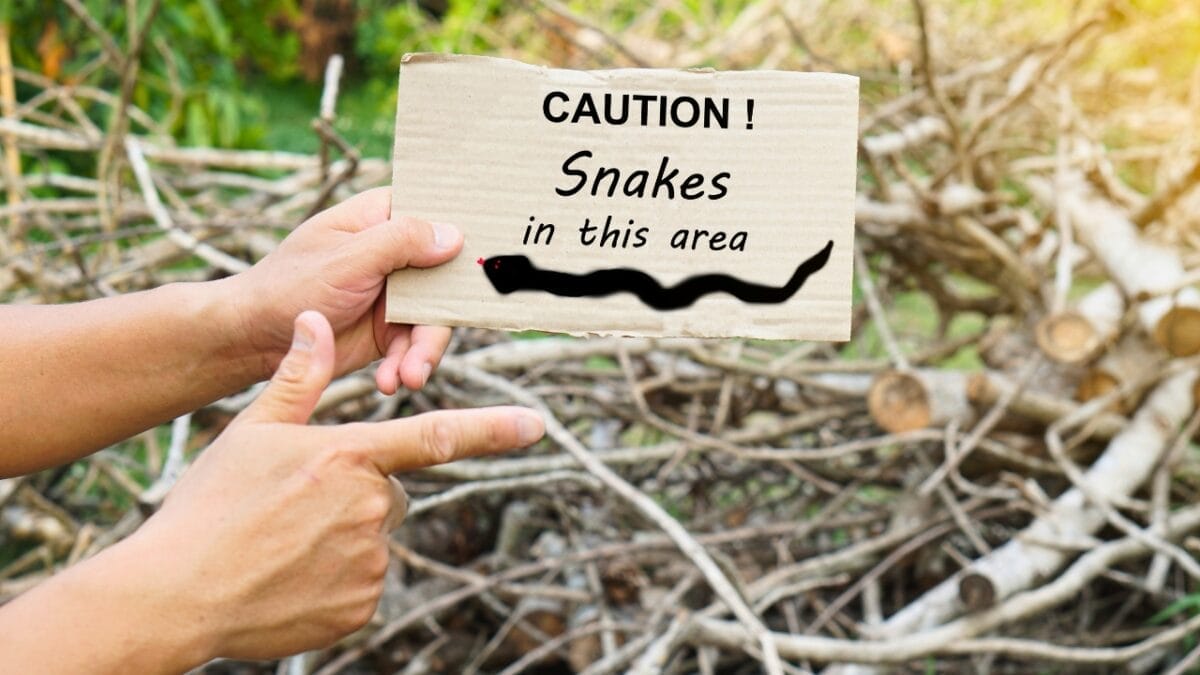9 Slithering Snakes Found Only on the East Coast 11 9 Slithering Snakes Found Only on the East Coast - man holding a beware of snakes sign ss2317932025