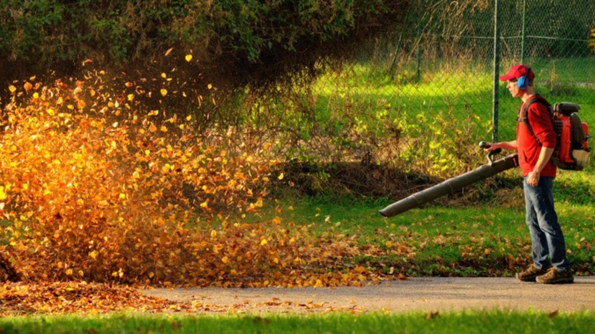 10 Tips for Creating a Thriving, Bird-Friendly Yard 9 10 Tips for Creating a Thriving, Bird-Friendly Yard - man blowing leaves dp123248684