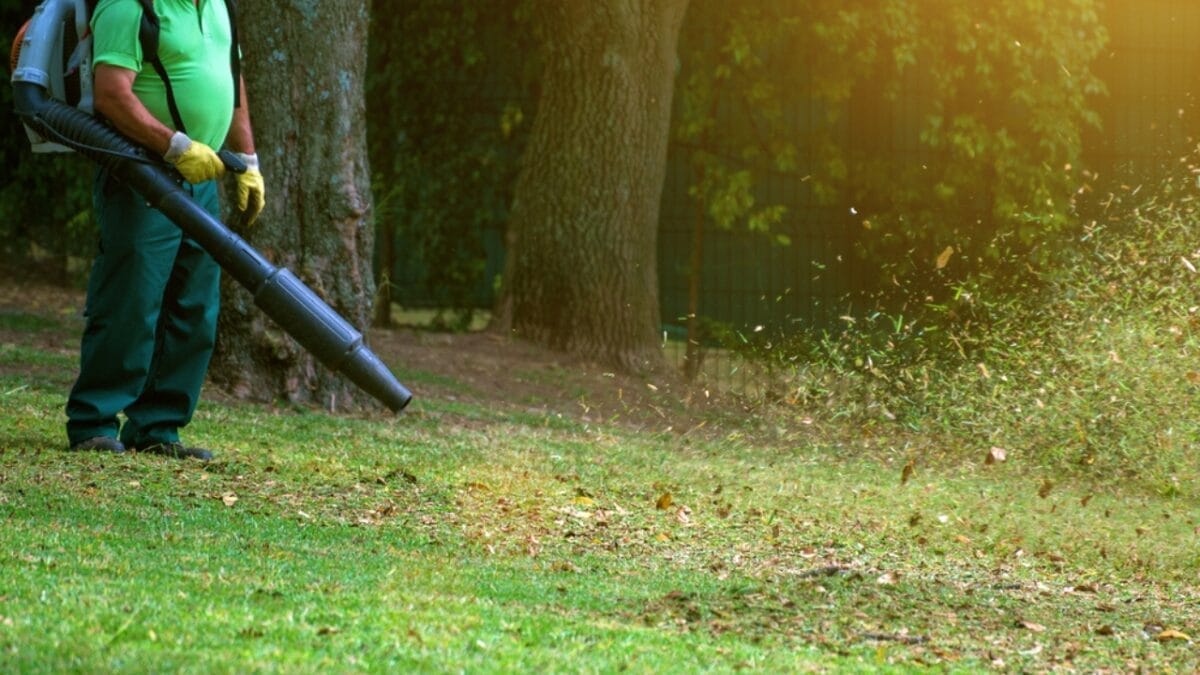 12 Time-Saving Leaf Blower Techniques for Busy Homeowners 9 12 Time-Saving Leaf Blower Techniques for Busy Homeowners - man blowing leaves in park dp176038318