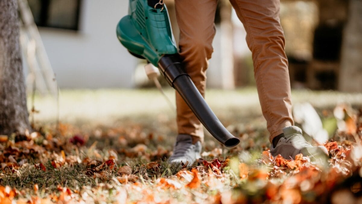 15 Essential Fall Gardening Tools & Resources for a Thriving Autumn Garden 2 15 Essential Fall Gardening Tools & Resources for a Thriving Autumn Garden - man holding leafblower dp221174210
