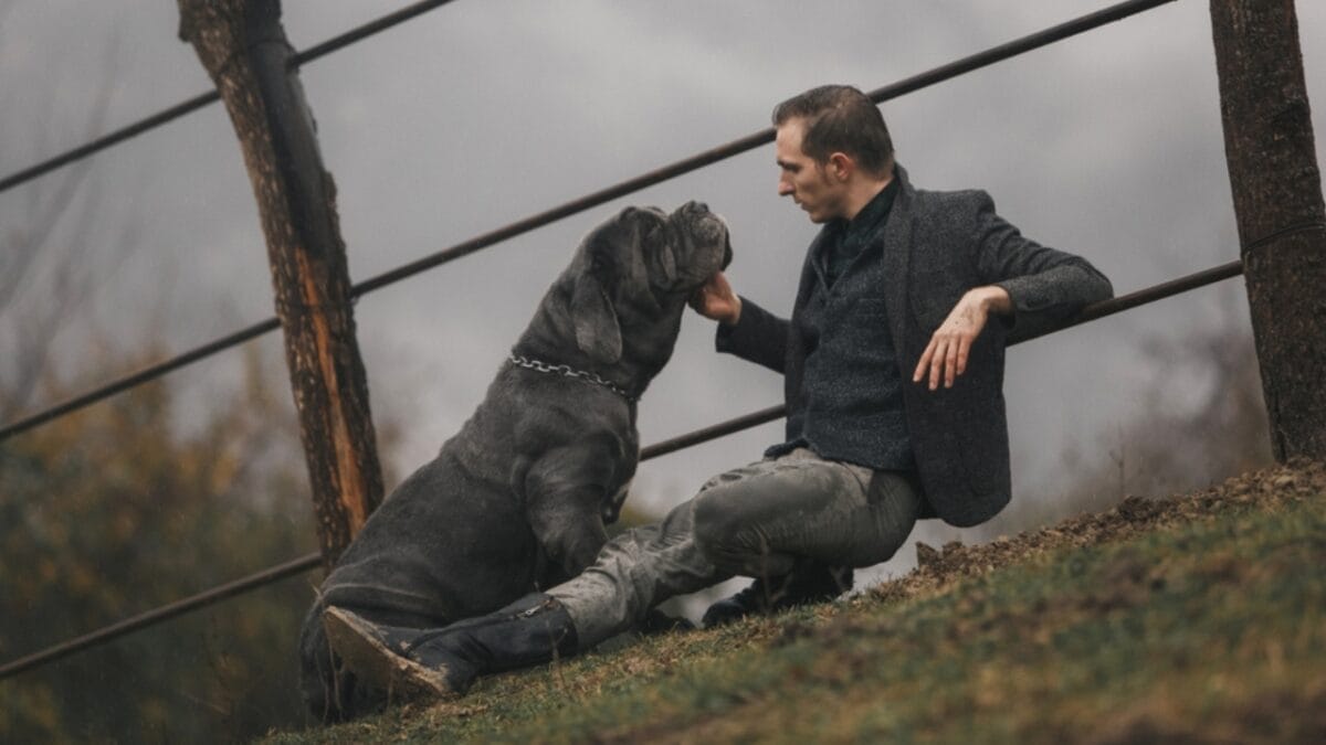 Drool, Snore, Adore: 10 Realities of Owning a Neapolitan Mastiff 10 Drool, Snore, Adore: 10 Realities of Owning a Neapolitan Mastiff - man sitting with neapolitan mastiff dog near fence ss1025376364