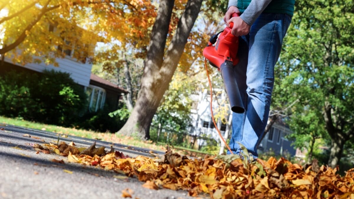 12 Hacks to Keep Wasps Out of Your Yard & Home Next Summer - man sweeping leaves leafblower dp171656428