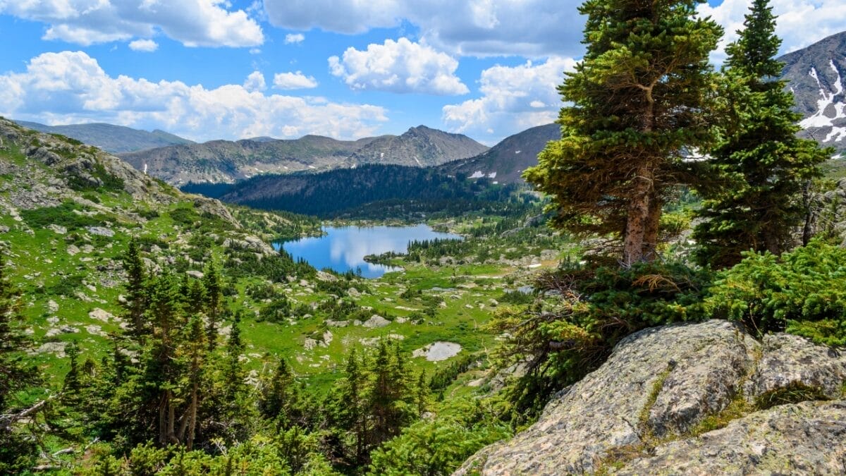 20 States Where Coyotes Are Thriving: Sightings Increasing 18 20 States Where Coyotes Are Thriving: Sightings Increasing - missouri ss2272601369