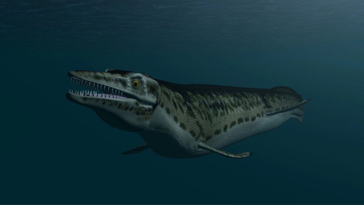 12 Prehistoric Creatures Aside from Dinosaurs Most People Don't Know Existed 12 12 Prehistoric Creatures Aside from Dinosaurs Most People Don't Know Existed - mosasaurus oceanic titan dp45297549