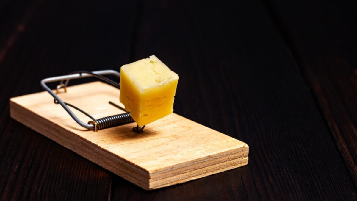 The Smart Homeowner's Mouseproofing Guide: Save Big with These 10 Steps 7 The Smart Homeowner's Mouseproofing Guide: Save Big with These 10 Steps - mouse trap ss1875451660